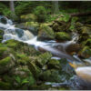 LED Bild Bach im Wald