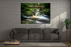 Waldmotiv Leinwand