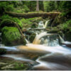 LED Bild Wald mit Bachlauf