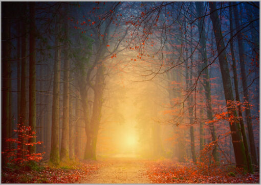 LED Bild Herbstwald
