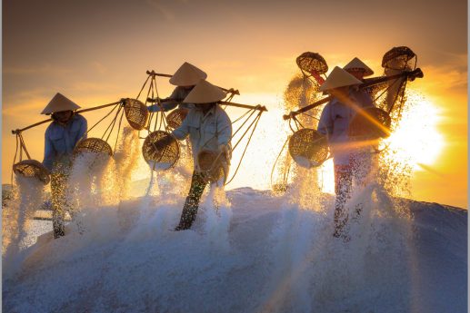 LED Bild Salzfelder Vietnam