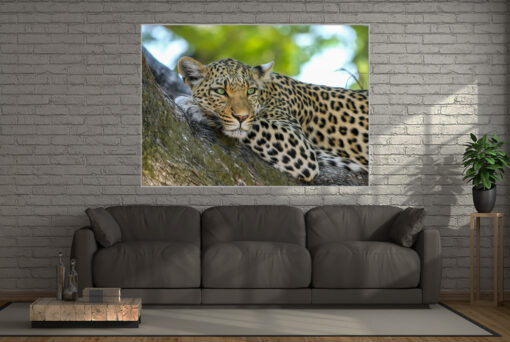 Wall Art Leopard