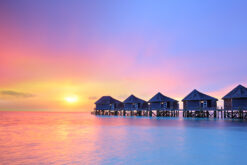 LED Bild Malediven