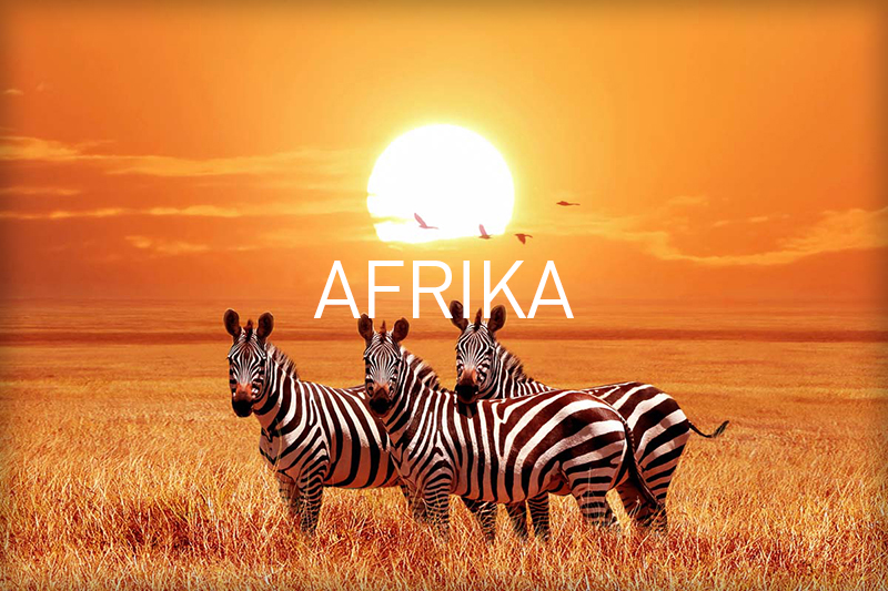 LED Bild Afrika
