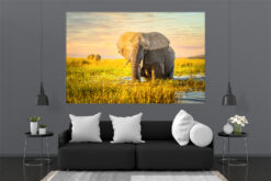 LED Bild Afrikanisch Elefant
