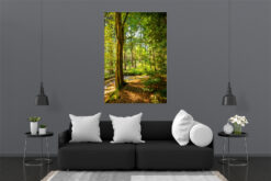 LED Bild Wald im Sommer