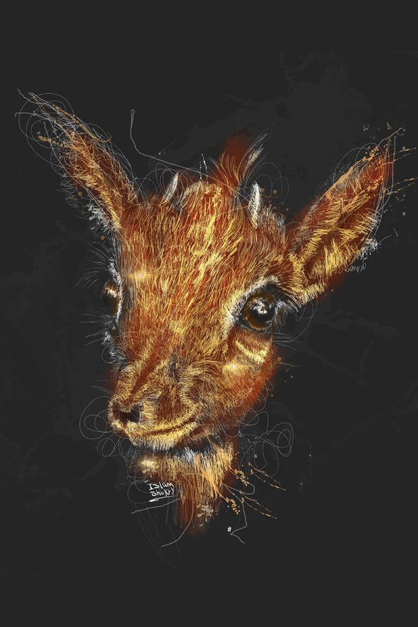 LED Bild Antilope Art
