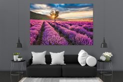 LED Bild Lavendelfeld im Abendrot