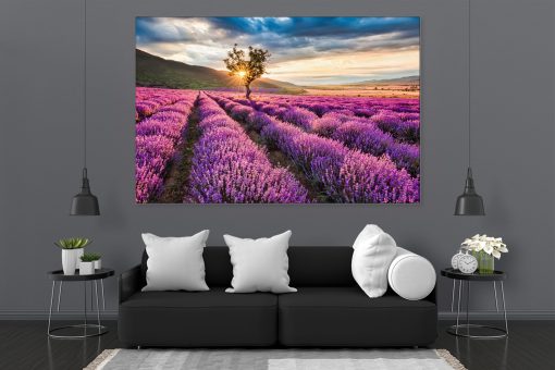 LED Bild Lavendelfeld im Abendrot