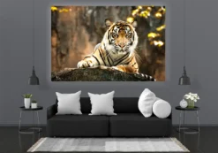 LED Bild Sumatran Tiger
