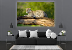 LED Bild Leopard on Tree