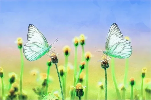 LED Bild Schmetterling