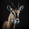 LED Bild Antilope